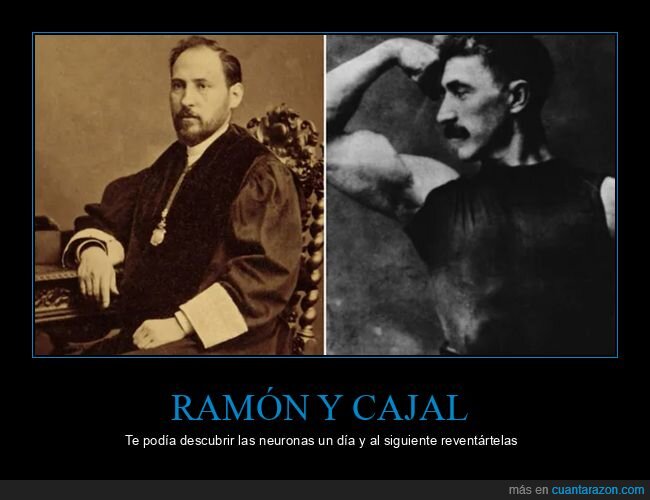 musculoso,neuronas,ramón y cajal