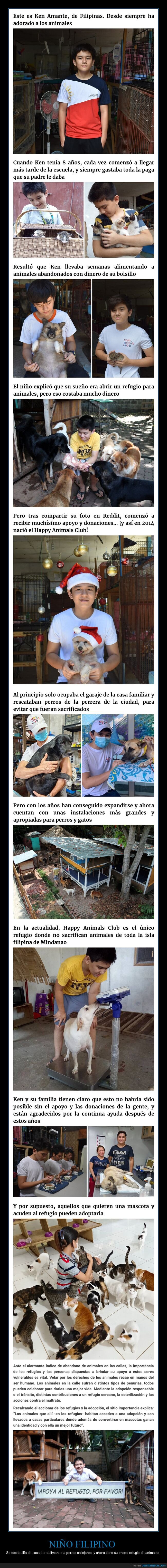 niño,animales,alimentar,refugio