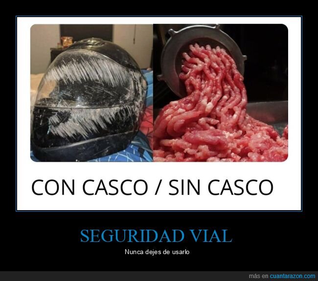 casco,seguridad vial,carne picada