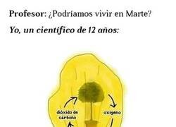 Enlace a Todo un científico