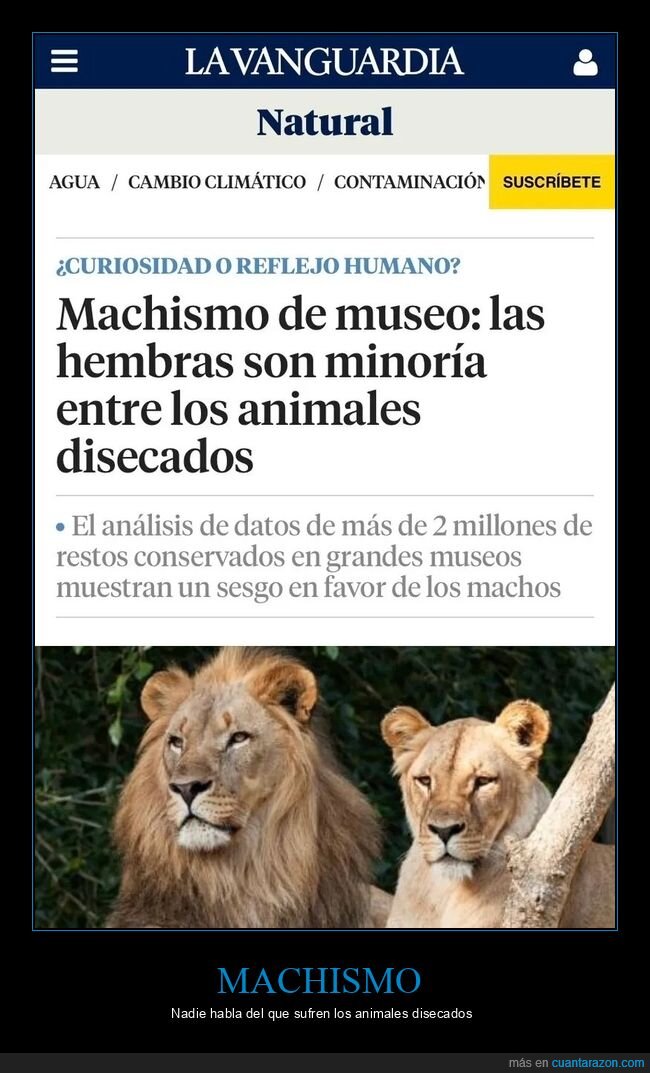 animales,disecados,hembras,machismo,machos,museo,wtf