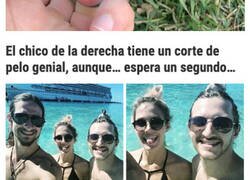 Enlace a Fotos donde la acción principal ocurre en segundo plano