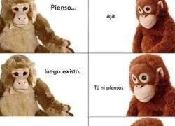 Enlace a Pienso, luego existo