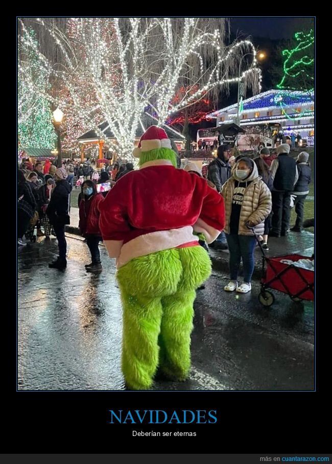 el grinch,navidad,wtf