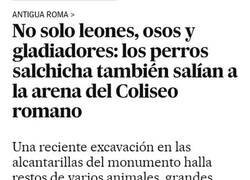 Enlace a Los reyes del coliseo