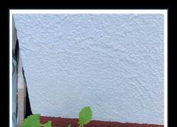 Enlace a Resume piso de estudiantes