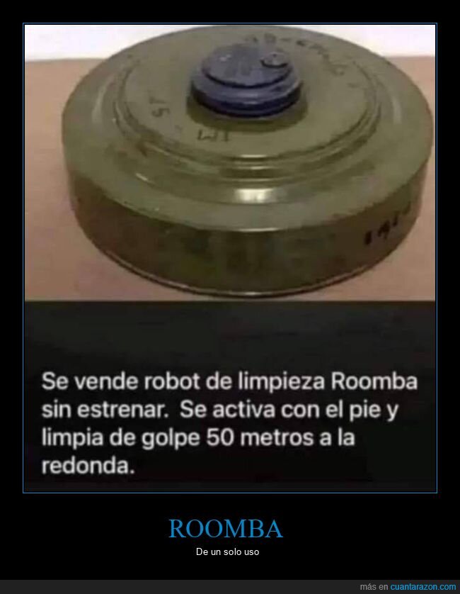 mina,roomba