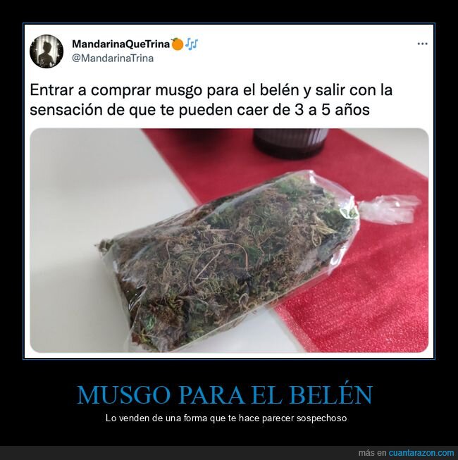 musgo,belén,bolsa