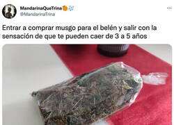 Enlace a Sintiéndose como un delincuente