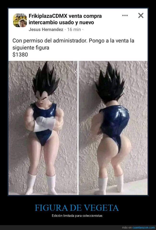 vegeta,figura,dragon ball,wtf