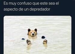 Enlace a Depredador implacable