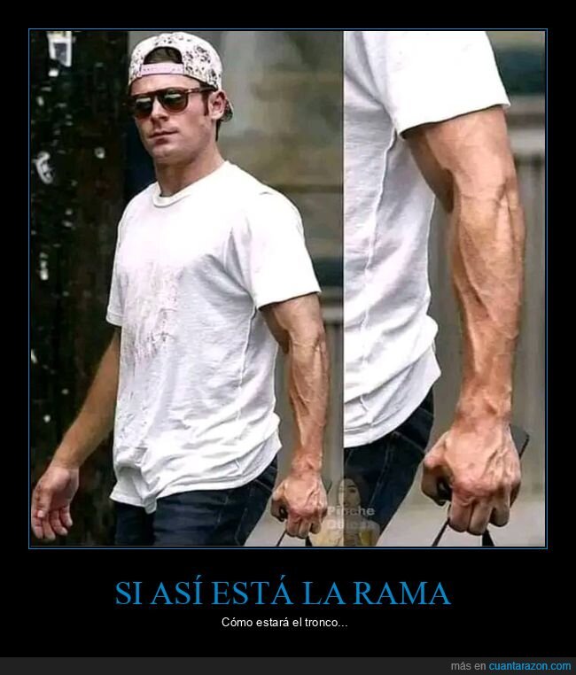 zac efron,rama,tronco,brazo