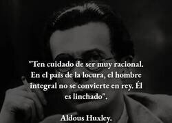 Enlace a El país de la locura