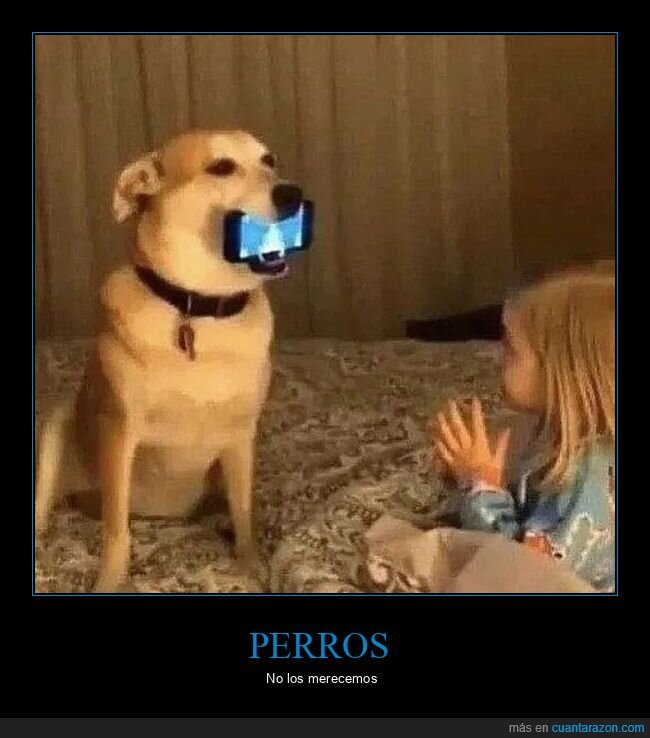 móvil,niña,perros,wtf