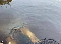 Enlace a ¿Un bañito?