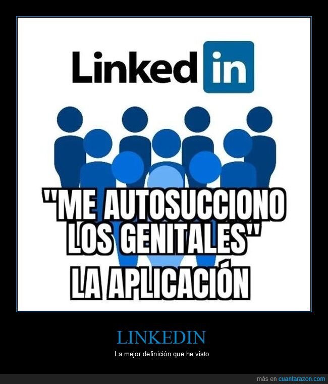 linkedin,definición