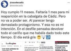 Enlace a Que vuelva el oso perjudicado