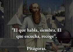 Enlace a ¿Siembras o recoges?