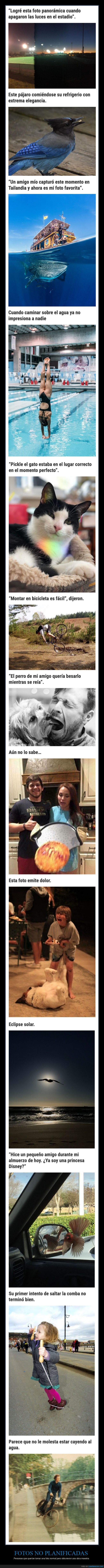 fotos no planificadas,momento justo