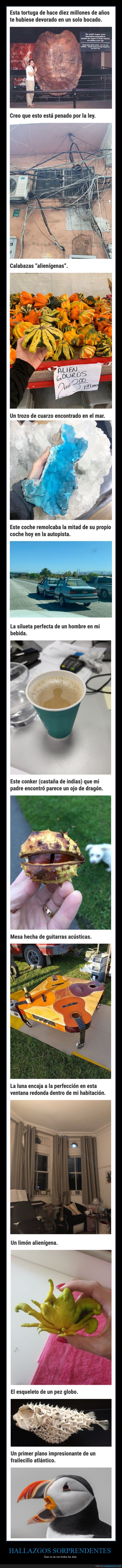 hallazgos sorprendentes