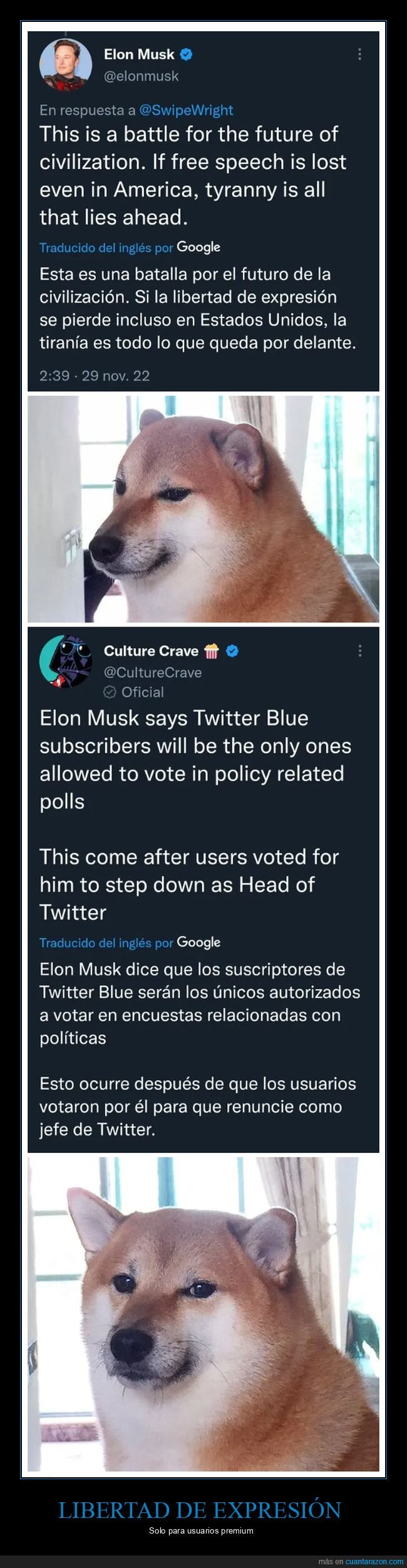 elon musk,libertad de expresión,twitter