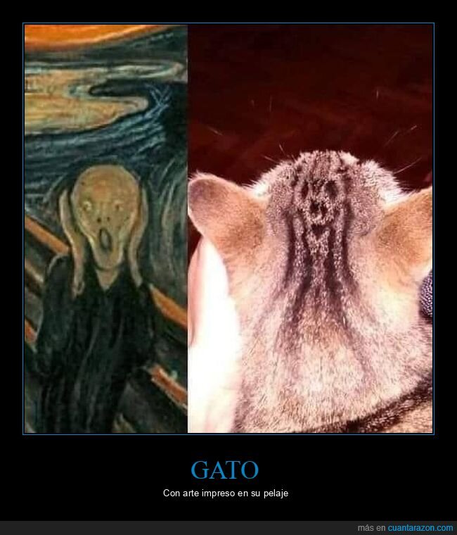 gato,el grito