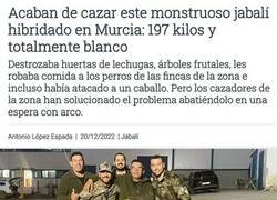 Enlace a Menudo monstruo...