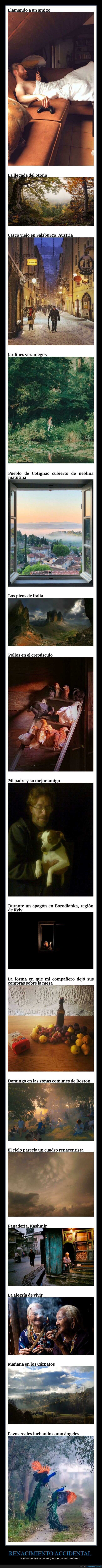 renacimiento accidental,fotos