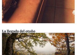 Enlace a Personas que hicieron una foto y se dieron cuenta de que eran accidentalmente renacentistas