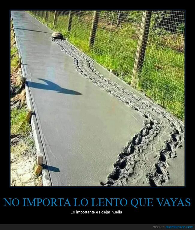 cemento,huella,tortuga