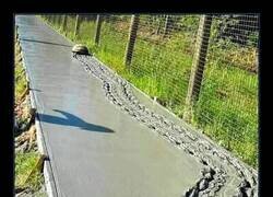 Enlace a Lo que de verdad importa