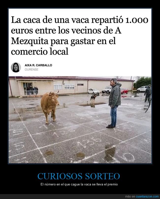 caca,premio,vaca,wtf