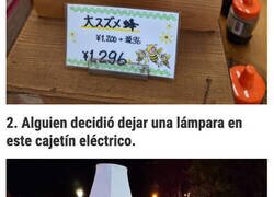 Enlace a Cosas curiosas que no se ven todos los días