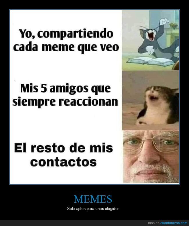 memes,contactos,risas