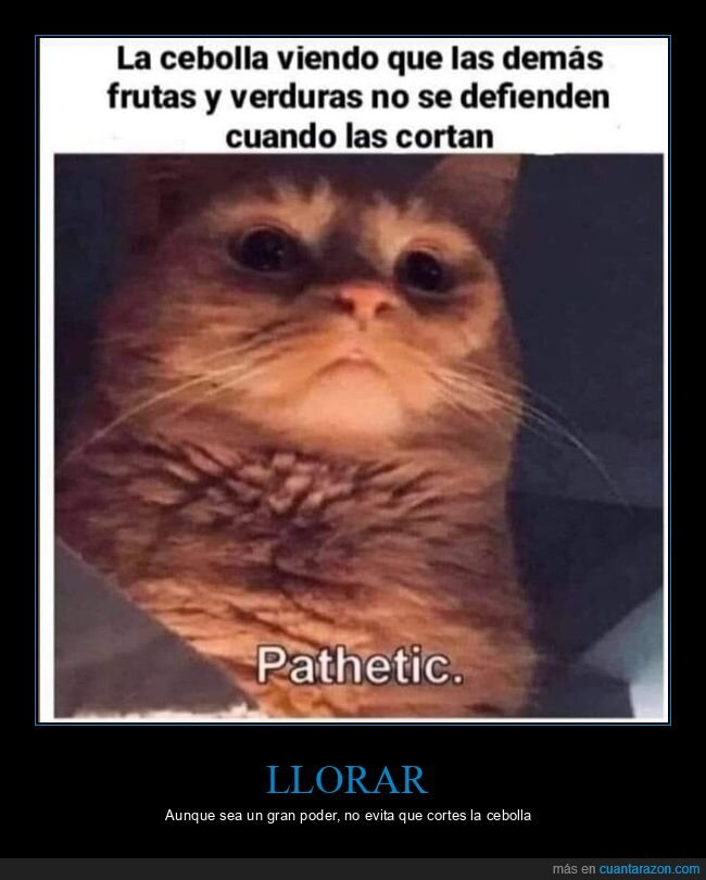 cebolla,llorar,verduras,frutas