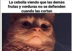 Enlace a La cebolla es la más rebotada, pero le sirve de poco