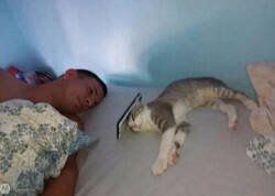 Enlace a Se le ve contento