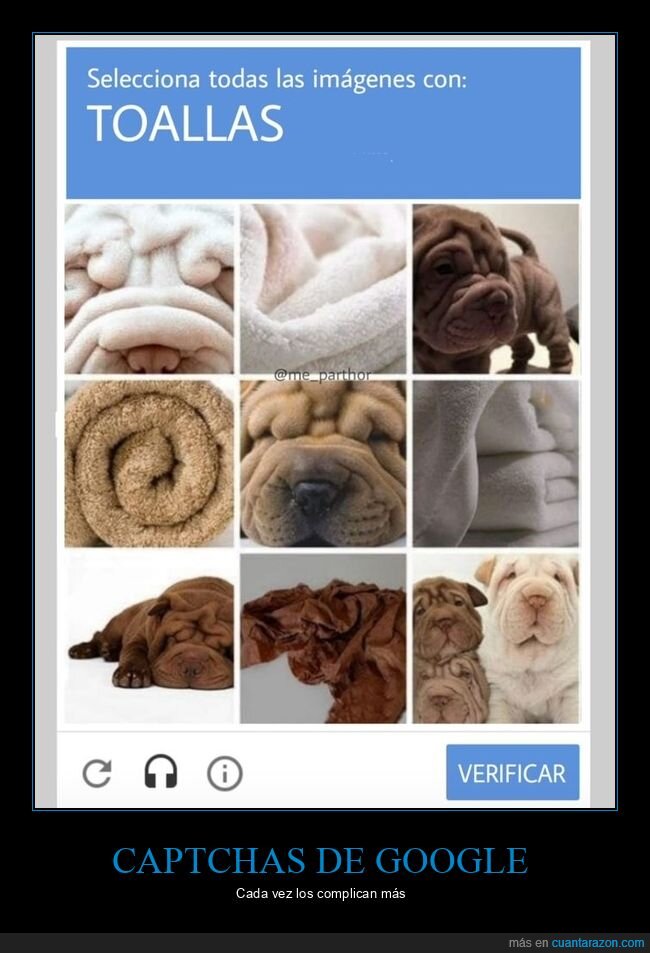 captcha,sharpei,perro,toalla