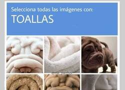 Enlace a Me está costando