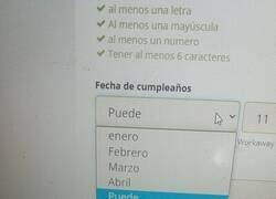 Enlace a Hoy, en traducciones de mierda