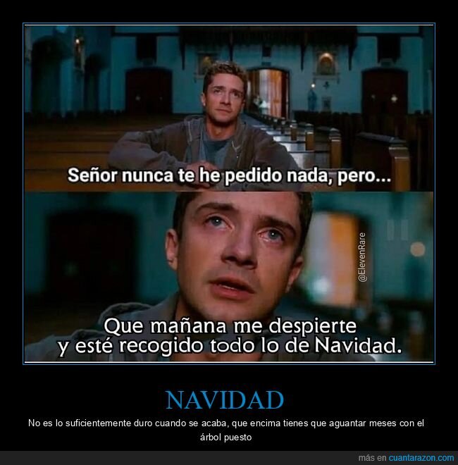 navidad,arbol,recoger,acabado