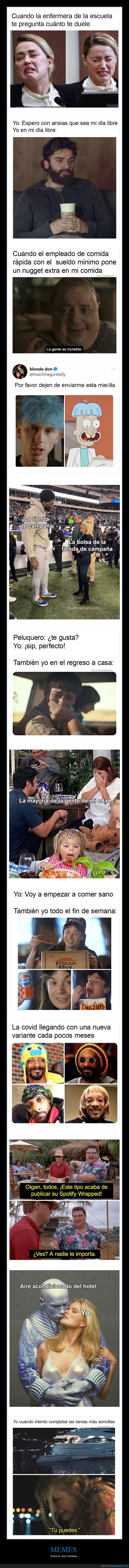 memes,vida cotidiana