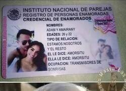 Enlace a Carnet de empalagosos