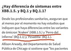 Enlace a ¿Pero quién les pone los nombres?