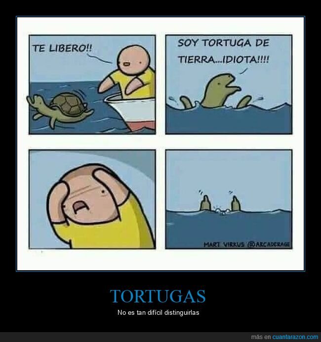 liberar,tortuga,tierra,mar