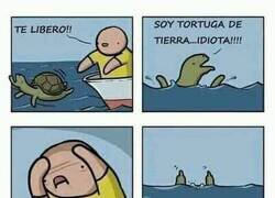 Enlace a De vuelta al mar