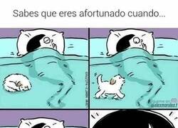 Enlace a Ese mágico momento