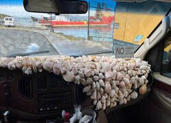 Enlace a Temática marina