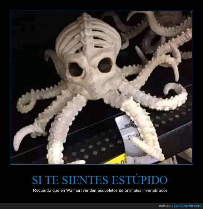walmart,esqueletos,animales,invertebrados