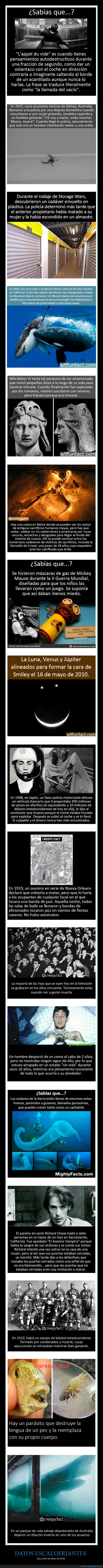datos espeluznantes,curiosidades